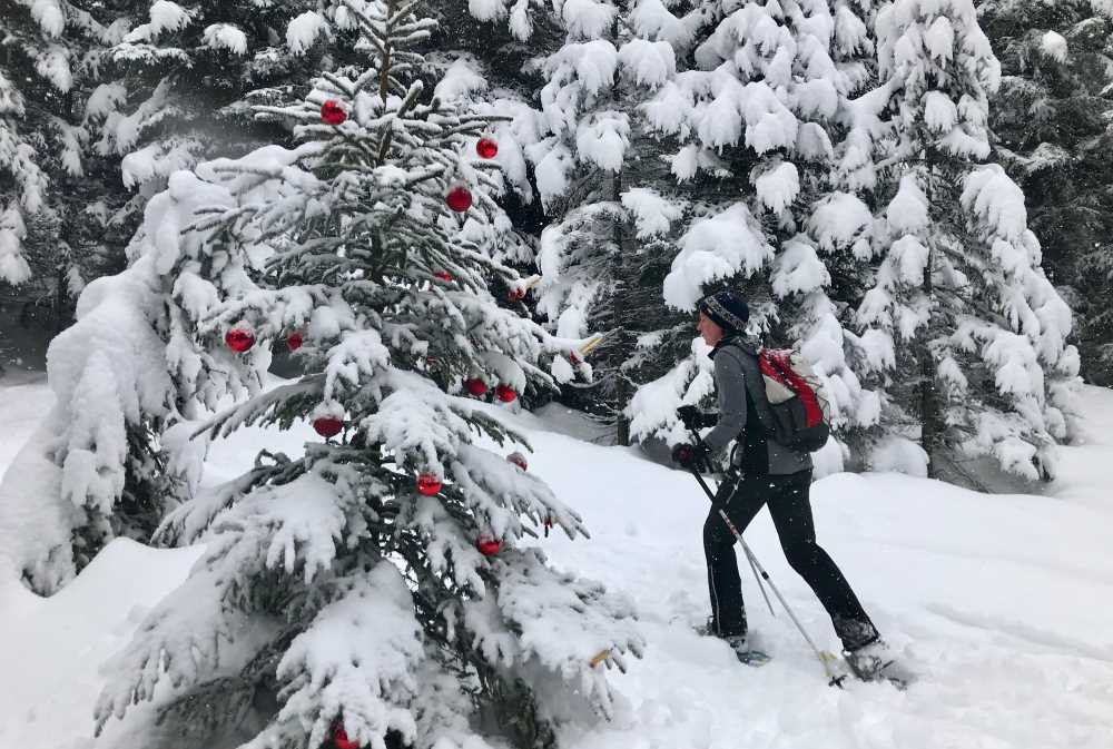 Auf der Schneeschuhwanderung zur Walderalm sind wir am geschmückten Weihnachtsbaum vorbei gekommen