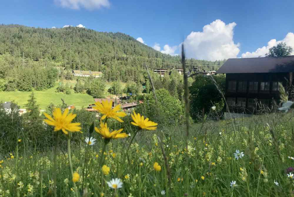  Der Blick von Auland auf den unscheinbaren Gschwandtkopf Seefeld