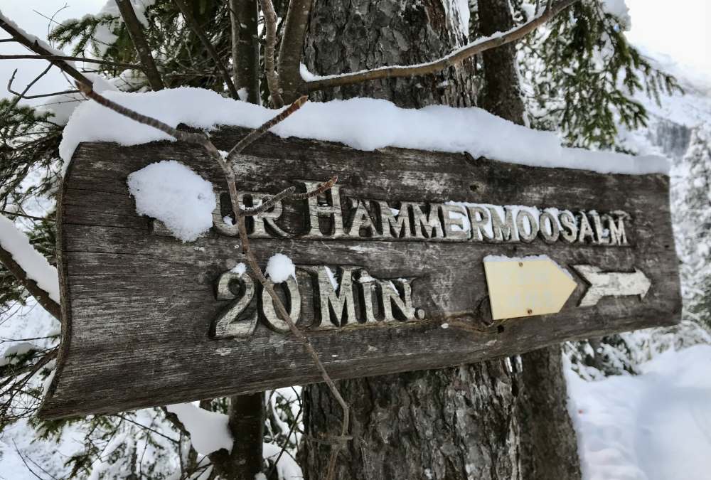 Gaistal winterwandern: Es gibt eine gute Beschilderung zur Hämmermoosalm