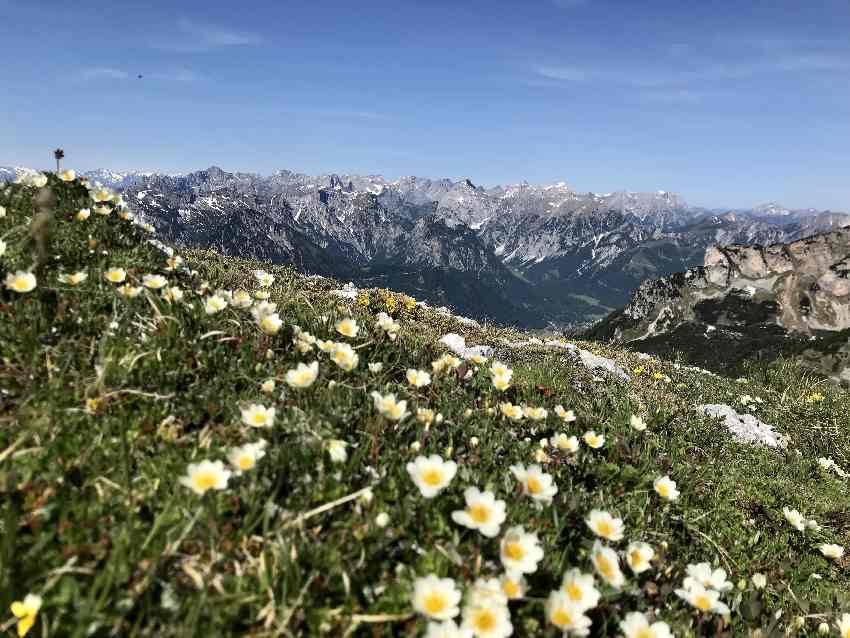 Gipfelblick von der Haidachstellwand auf das Karwendel