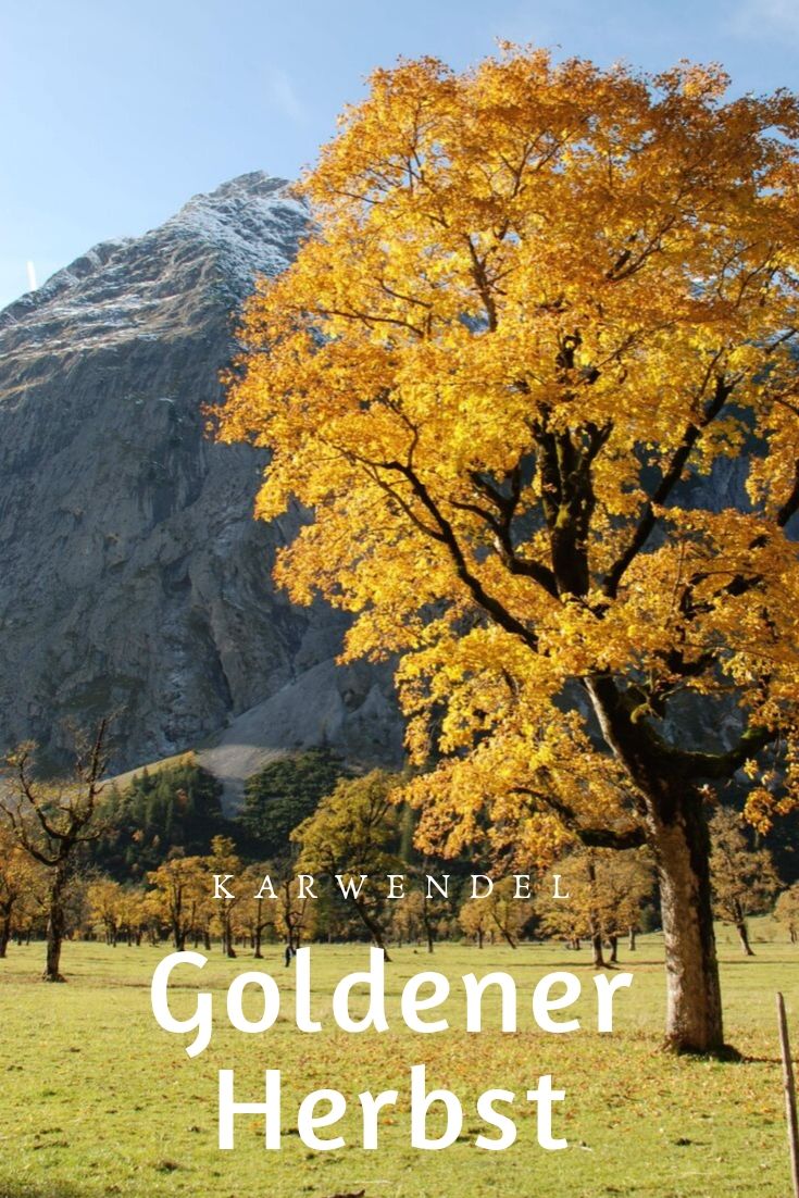 Goldener Herbst - hier kannst du ihn erleben!