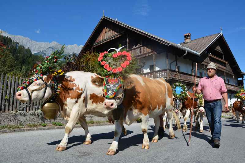 Ein echt traditioneller Herbst in den Alpen: Der Almabtrieb durch die kleinen malerischen Orte im Karwendel