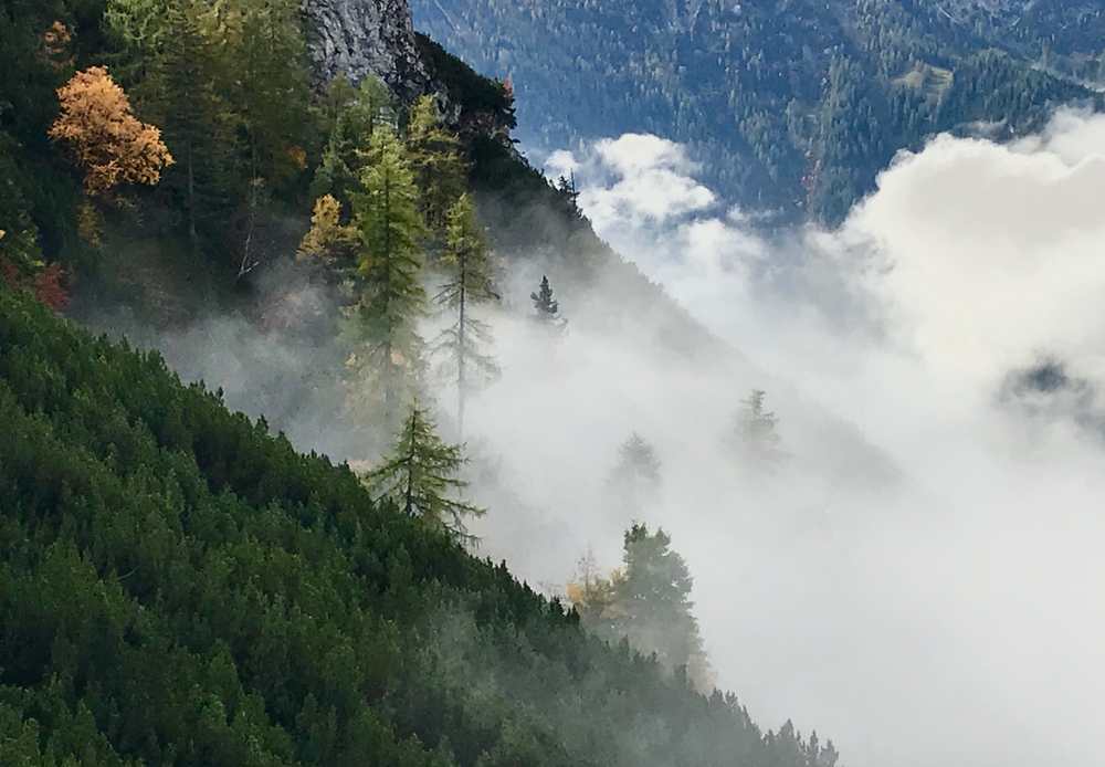 Dann setzt sich die Sonne durch und vertreibt den Nebel, diese Nebelstimmung hat mir besonders gefallen