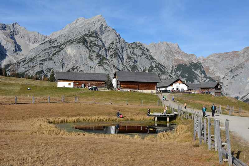 Und dann von der Hinterhornalm zur Walderalm wandern, ein Spaziergang im Karwendel