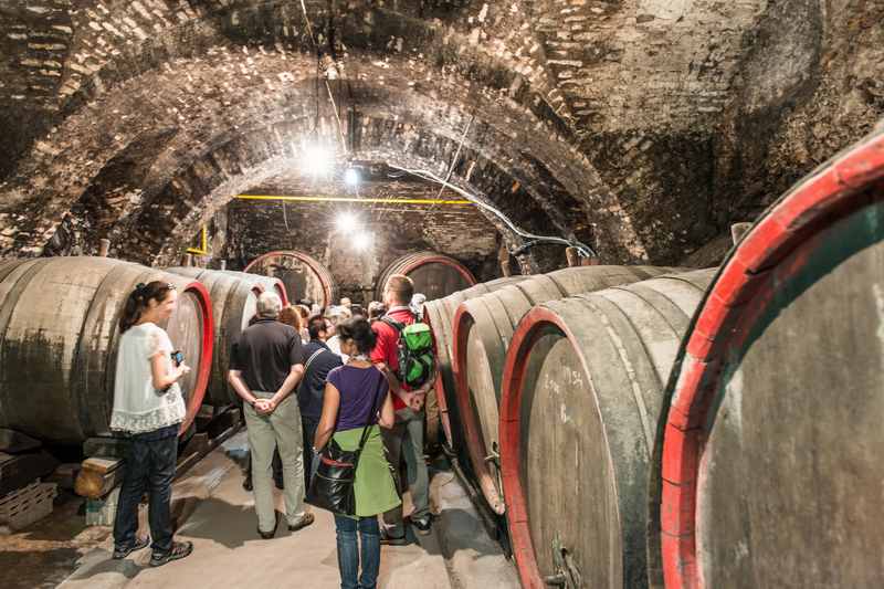 In den schönen historischen Weinkeller kommt man nur bei einer geführten Stadtführung, sonst ist abgesperrt