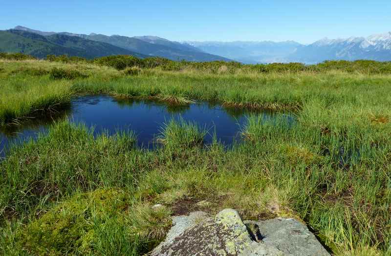 Am Hochebenweg wandern am Kellerjoch: Von der Loas zur Naunzalm