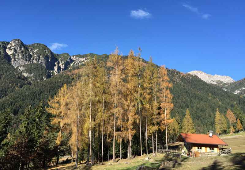 Der Hörbstenboden im Brunntal oberhalb von Zirl im Karwendel