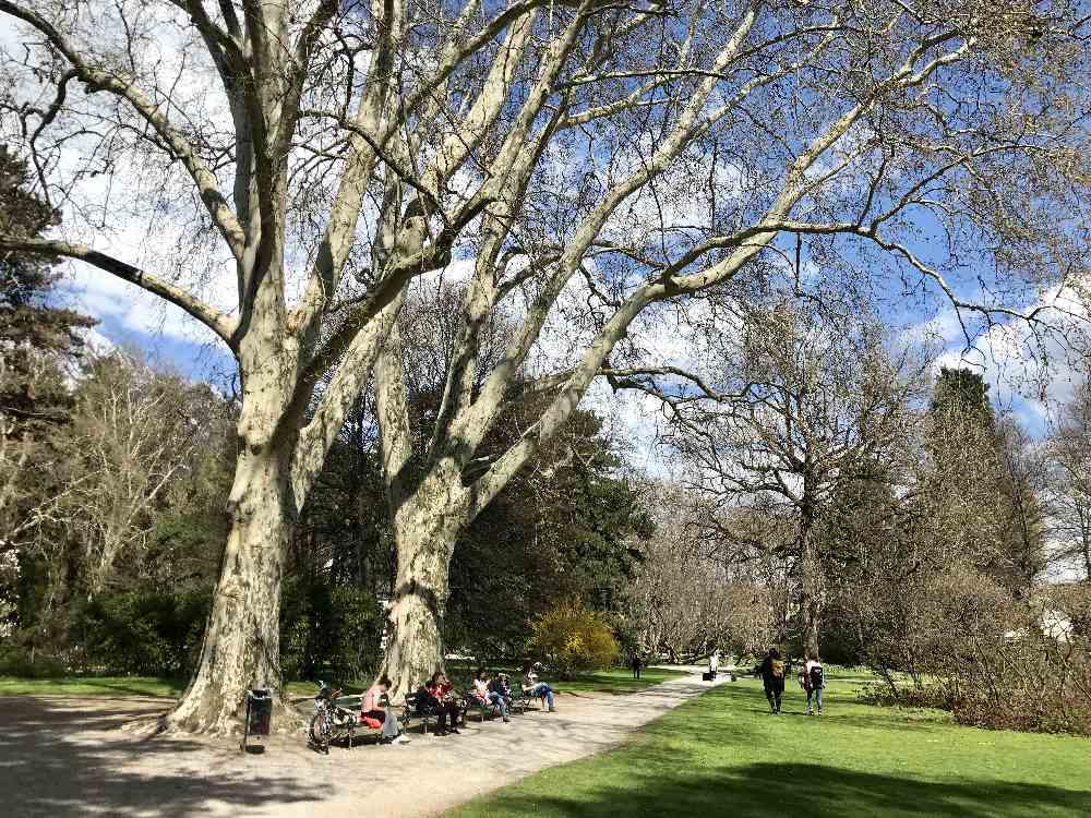 Hofgarten Innsbruck - eine Ruheoase für Innsbrucker und Touristen mitten in der Stadt