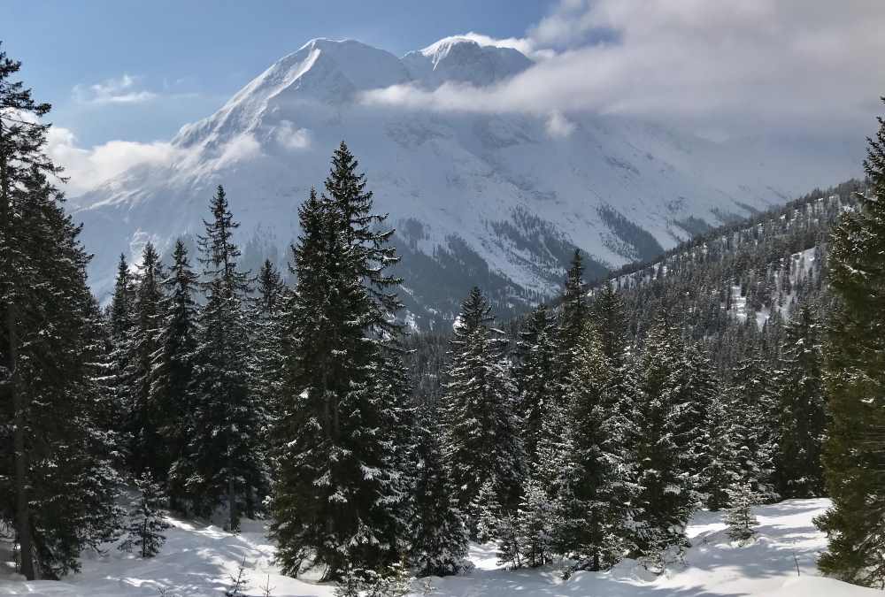 Schneewanderung Tirol: Nimm dir Zeit für diesen Blick auf die Hohe Munde