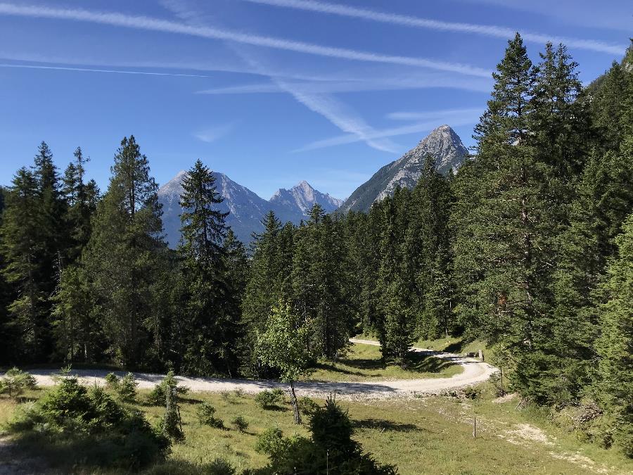 Wenn du aus dem Wald im Satteltal herauskommst, kannst du zurück in das Wettersteingebirge schauen