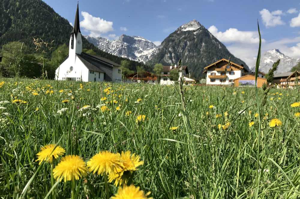 Der Frühling am Achensee mit den bunten Blumenwiesen 