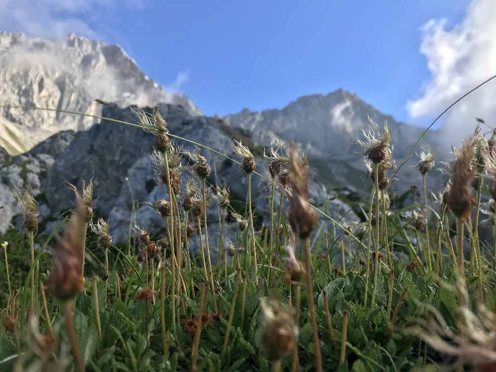 Der Almboden liegt noch im Schatten, die Bergspitzen vom Wettersteingebirge werden von der Sonne angestrahlt