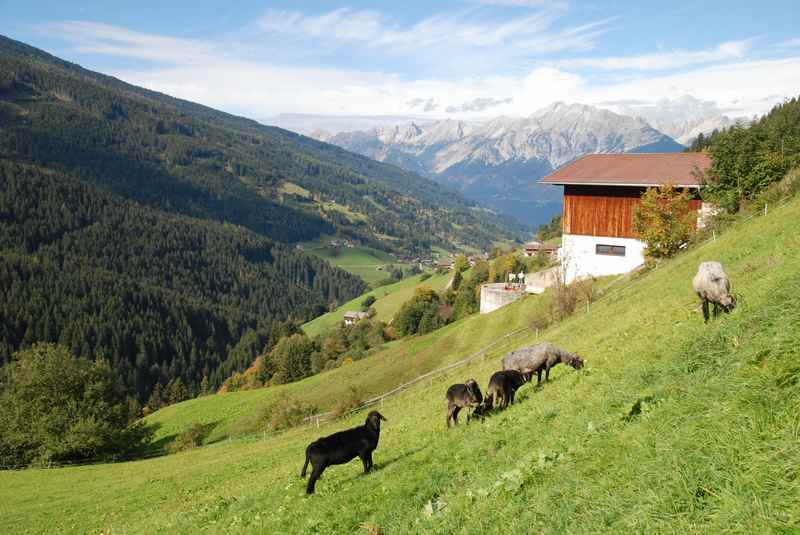 Der Ortsteil Innerst in Weerberg - Sommeridylle am Berg, hinten das Karwendel