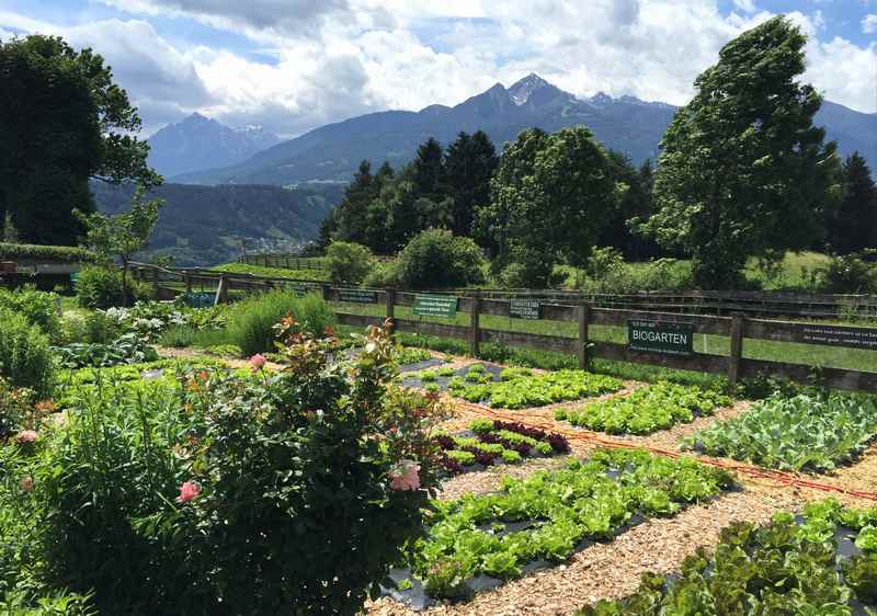 Von Innsbruck zum Gasthof Planötzenhof wandern - frische Zutaten aus dem Garten