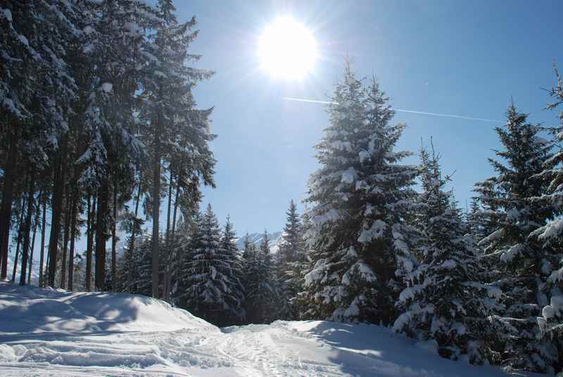 Innsbruck winterwandern - aus der Stadt durch den Winterwald zur Arzler Alm