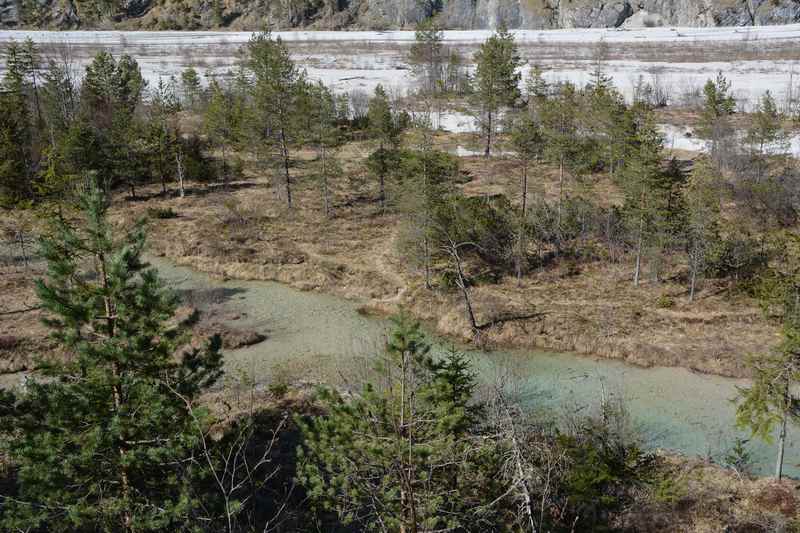 Durch die Flußlandschaft entlang der Isar wandern ab Vorderiß 