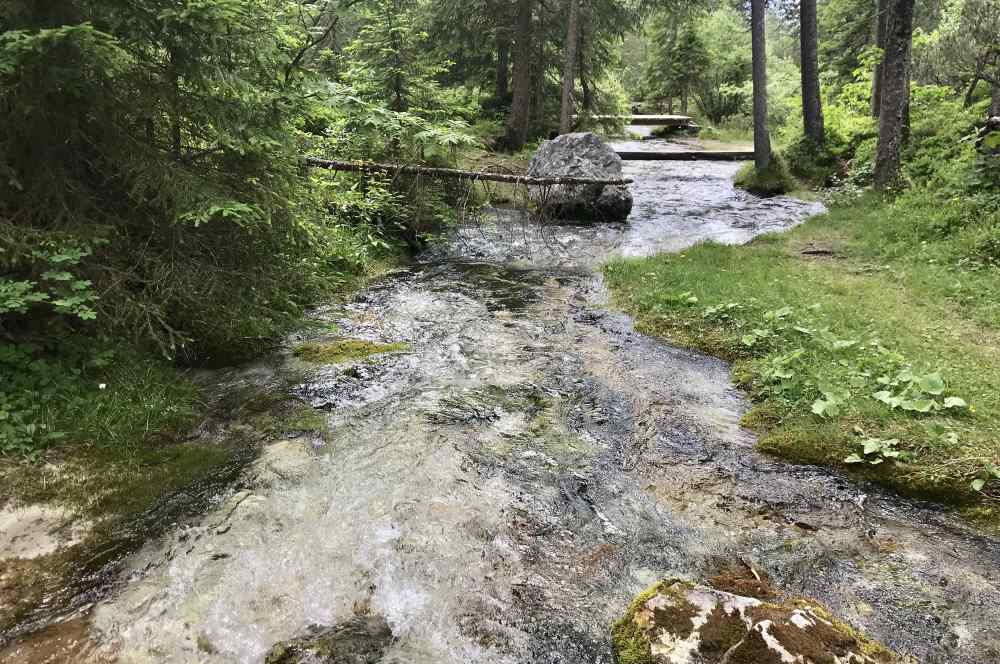 Die wildromantische Flußlandschaft ist wunderschön - und ganz anders als die Isar im Kiesbett