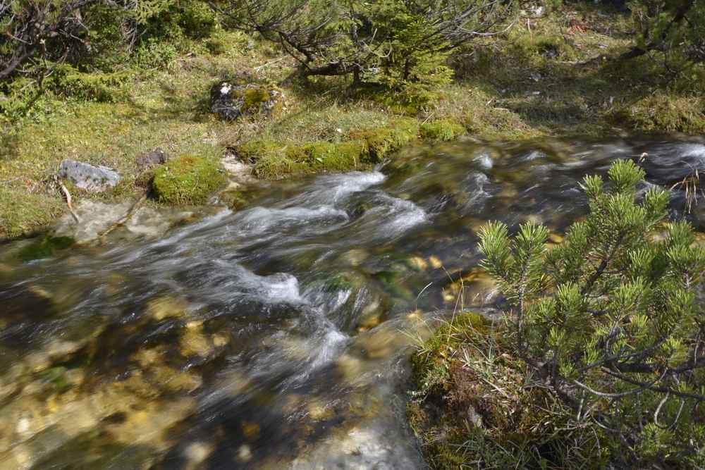 Der Isarursprung unterhalb der Kastenalm - direkt neben dem Weg, lohenswert anzuschauen!