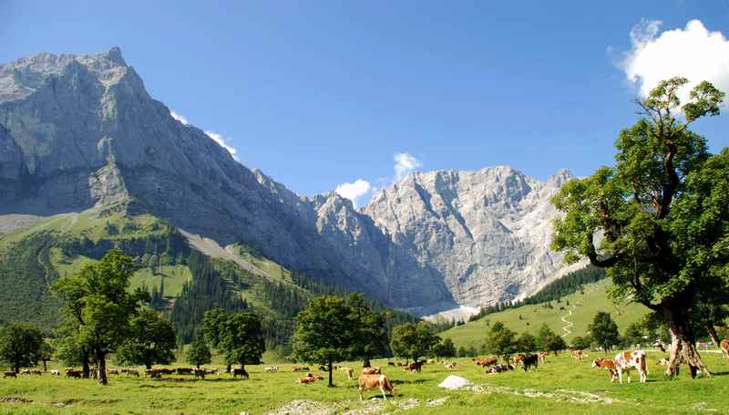 Eine der schönsten Kulissen für den Bergsommer in Tirol - Sommerurlaub im Karwendel