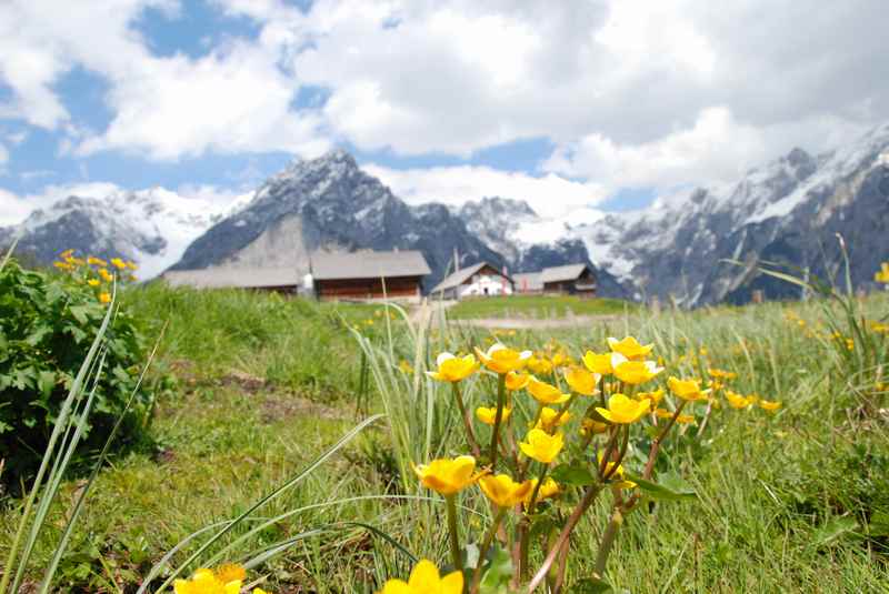 Juni Urlaub im Karwendelgebirge: Von Hütte zu Hütte wandern