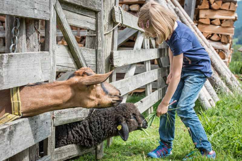 Im Karwendel ein Bauernhof Urlaub, wo die Kinder auch mal Tiere füttern dürfen