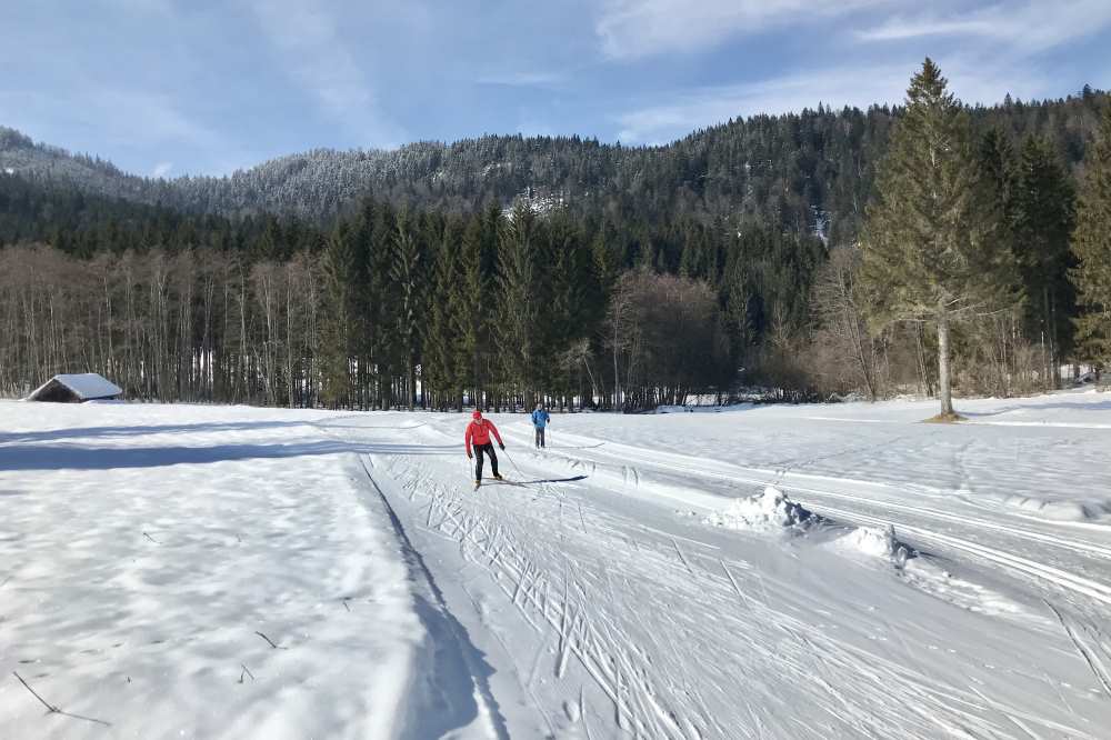 Hier kommt die Langlaufloipe an den Barmsee