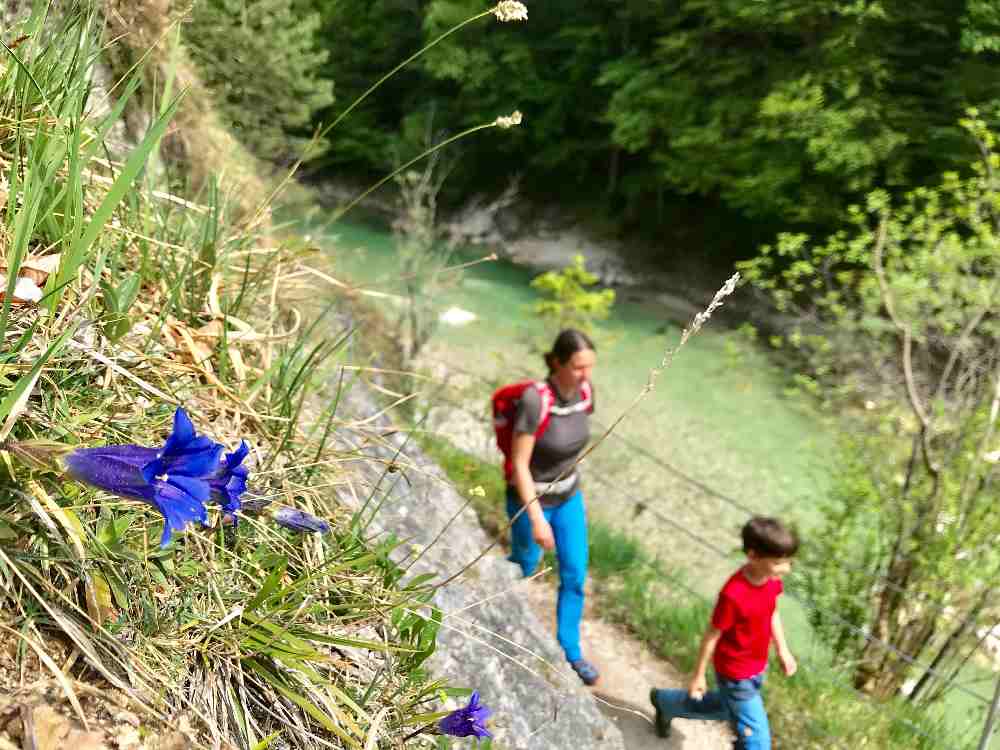 Unterwegs in der Karwendelregion mit Kindern - es gibt viel zu tun!