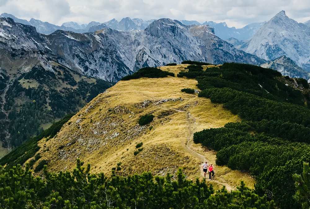 Bärenkopf Achensee: Herbstlich gefärbte Almwiese am Gipfel