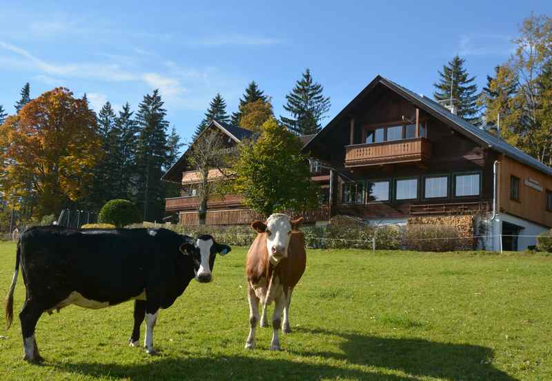 Bei der Karwendelrast startet der Wanderweg am Vomperberg in das Vomperloch