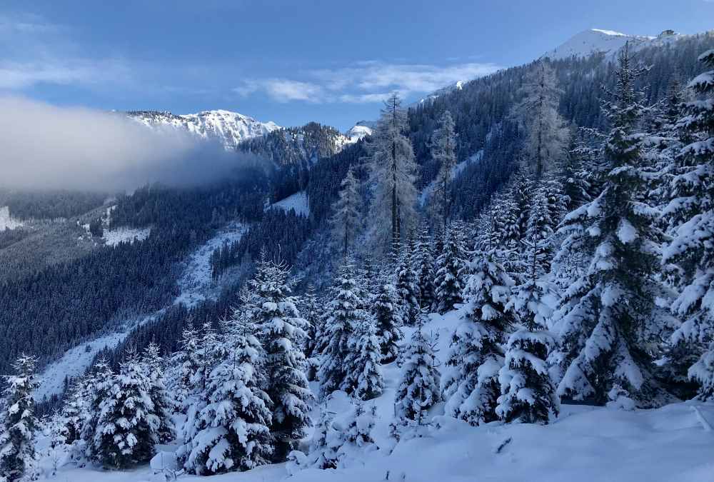 Und hier ist ganz oben rechts klein das Hecherhaus von der Rodelbahn aus zu sehen