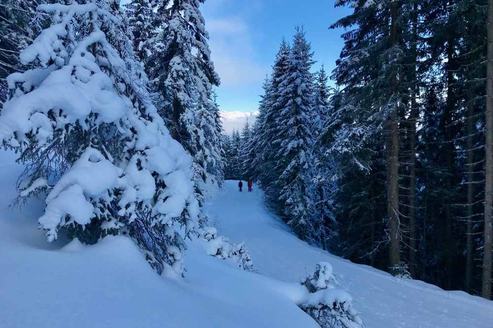 Am Kellerjoch rodeln und durch den verschneiten Wald winterwandern