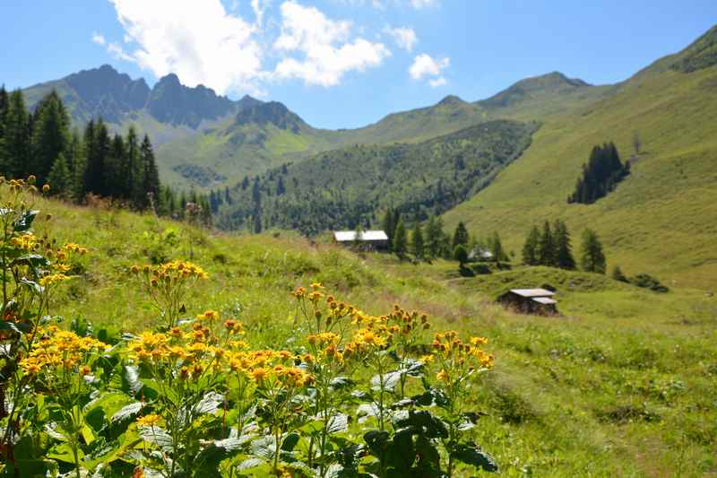 Am Kellerjoch mountainbiken ab Schwaz in Tirol