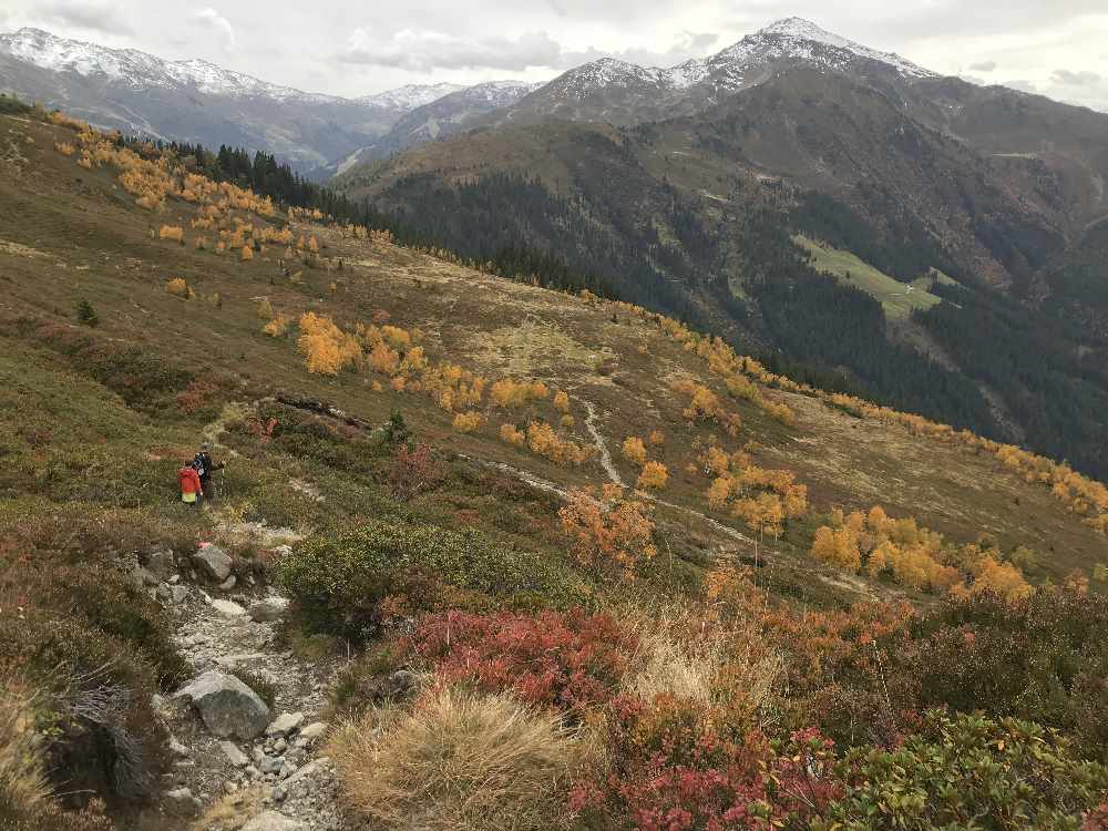 Im Herbst am Kellerjoch wandern in der bunten Landschaft der Tuxer Alpen