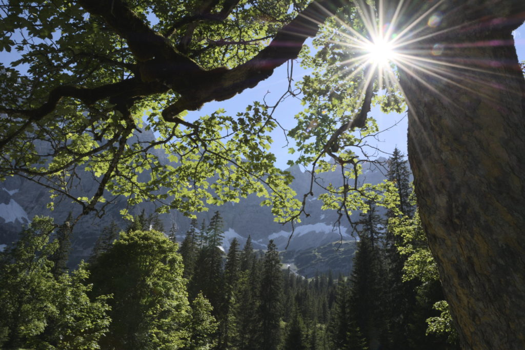 Adlerweg Karwendelhaus: Nimm dir Zeit für das Naturwunder Kleiner Ahornboden 