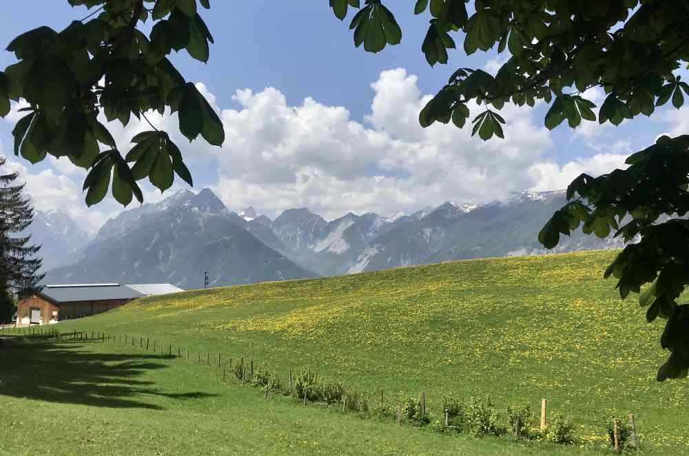 Von der Terrasse der Koglmoosalm kannst du auf das Karwendel hinüberschauen