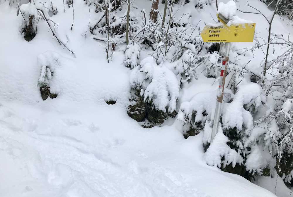 .. hier geht es links weg von der Spieljochbahn Skipiste, auf dem Sommerwanderweg in den Wald hinein