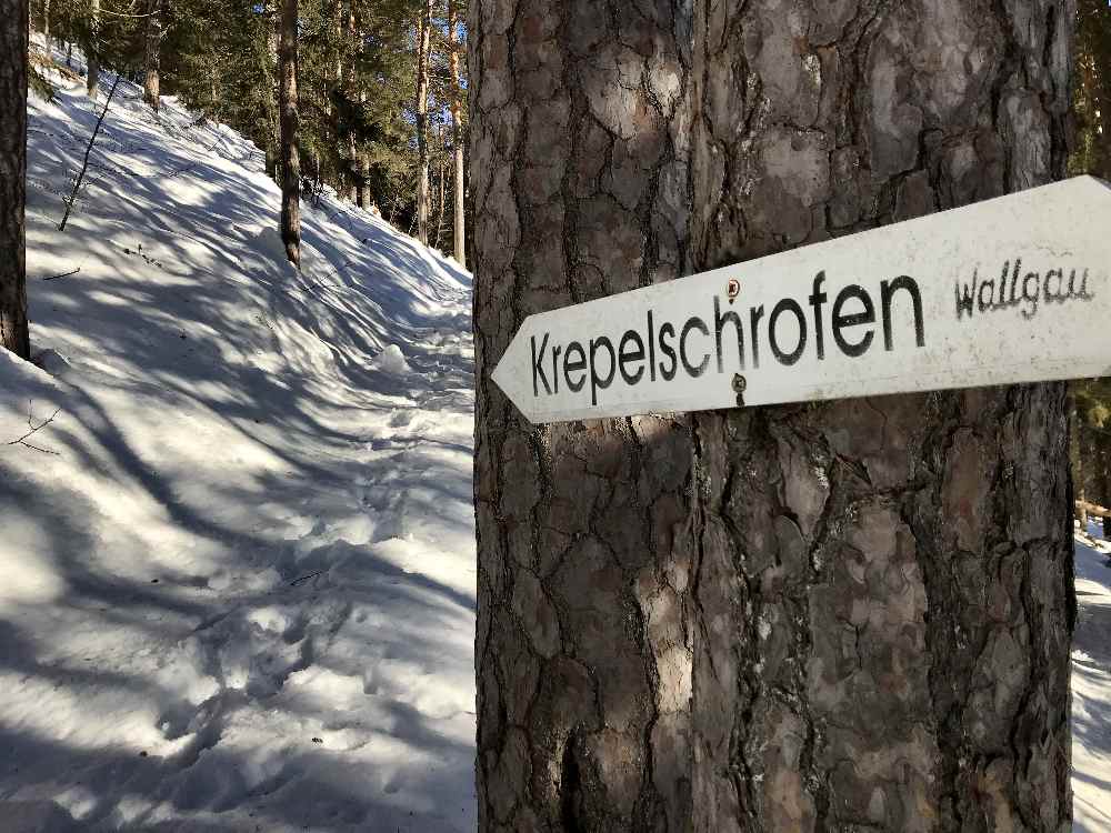 Der Krepelschrofen Beschilderung folge ich auf dem Wandersteig in Richtung Gipfel