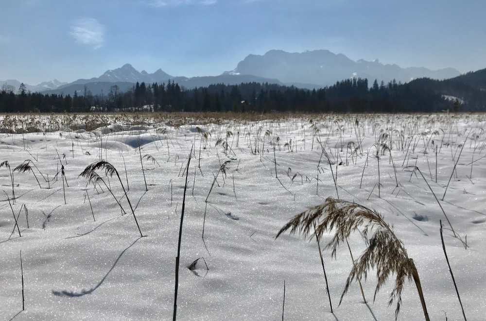 Das Moos am Barmsee im Winter mit dem Wettersteingebirge