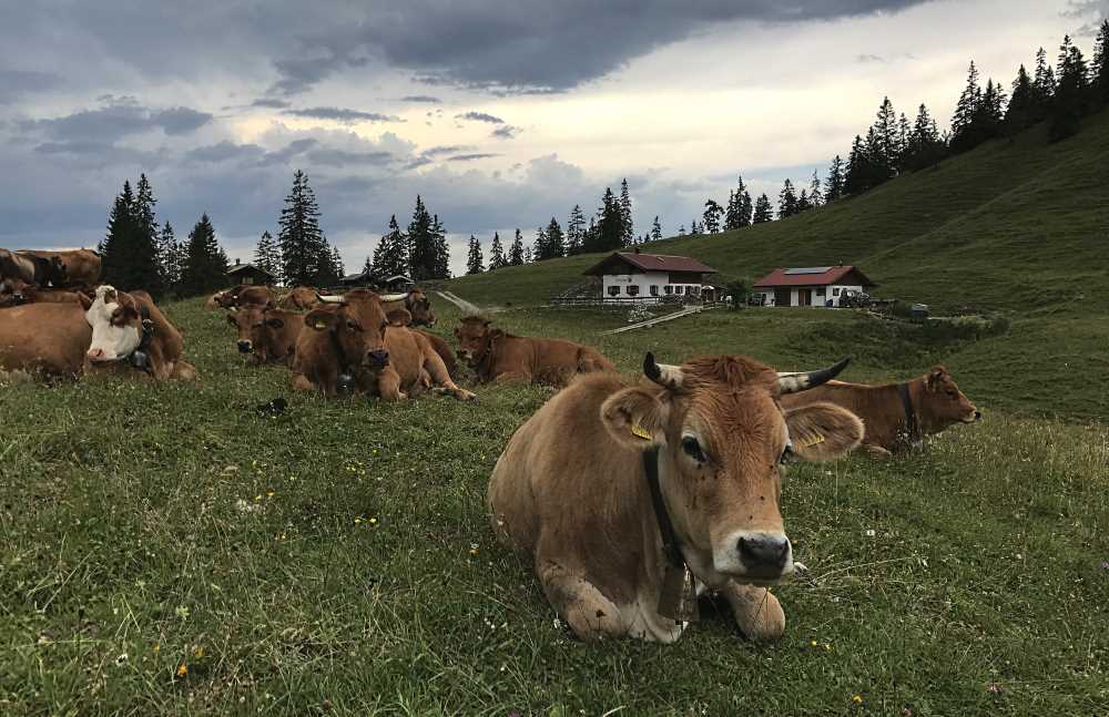 Von Krün auf die Fischbachalm mountainbiken im Karwendel