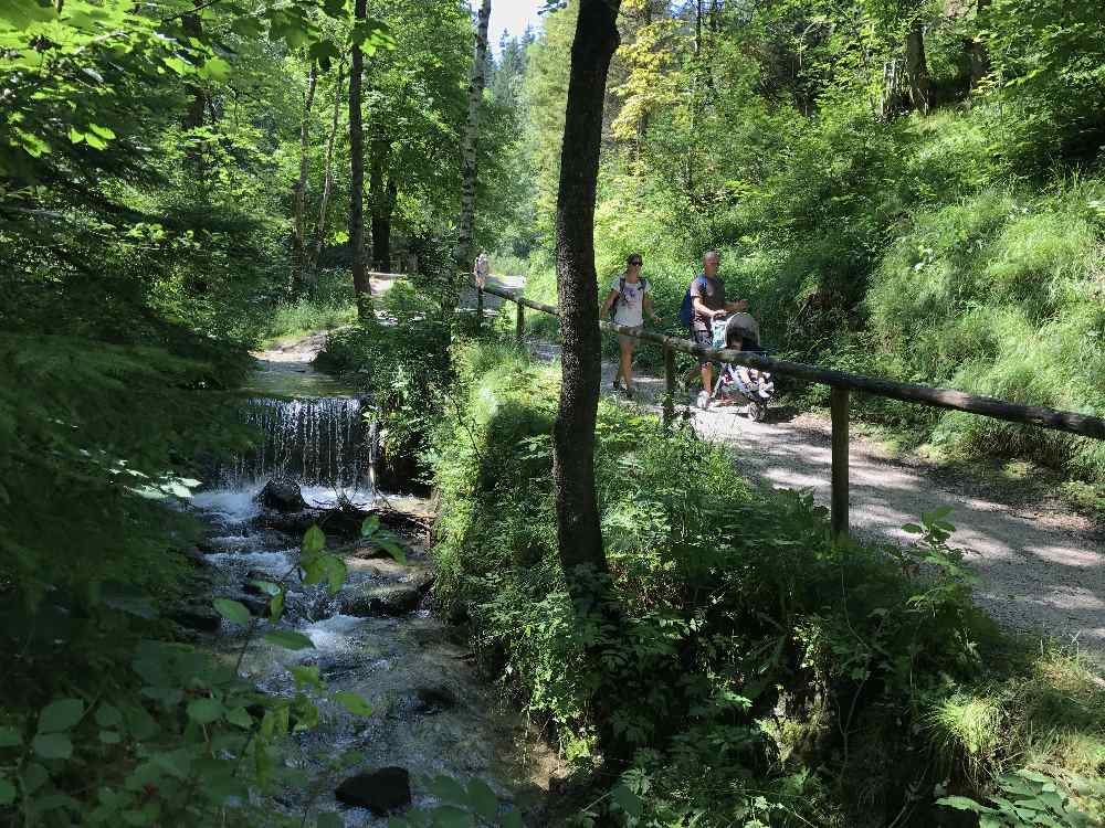 So romantisch durch den Wald beginnt die Mittenwald Wanderung im Laintal