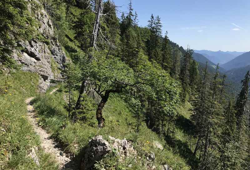 Das ist der Lakaiensteig zwischen Fischbachalm und Soiernhaus im Karwendel