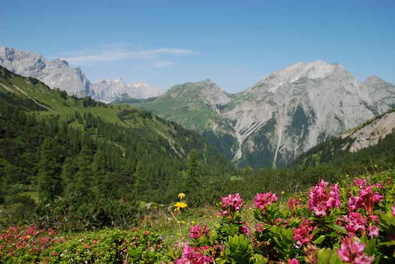 MTB Lamsenjochhütte: Die Landschaft des Karwendel zwischen Lamsenjochhütte und Binsalm 