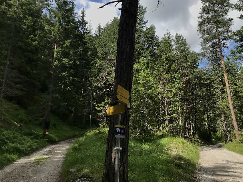 2 Wanderweg: Rechts die Forststraße, links der Bachweg, der zu einem Wandersteig wird