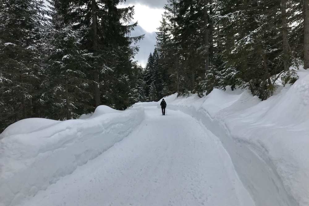 Schneewanderung Leutasch: Heute geht die Winterwanderung durch das verschneite Fludertal