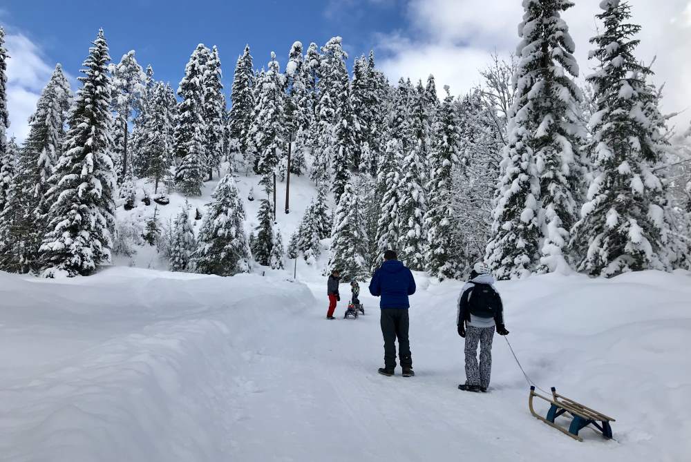 Im Gaistal mit dem Rodel winterwandern und danach rasant zurück ins Tal