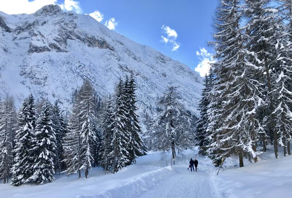 Zur Hämmermoosalm winterwandern - traumhaft bei Neuschnee im Gaistal