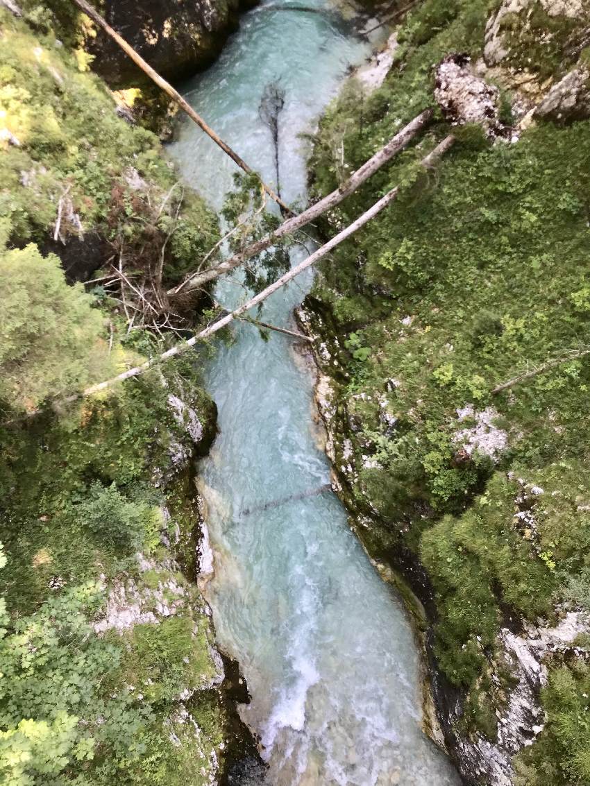 Durch die Leutaschklamm wandern - und auf riesige Baumstämme schauen, die im Wasser liegen