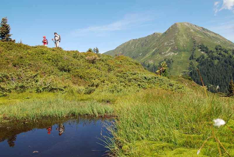 Im Sommer auf der Mautstrasse Loas zum Loassattel und dort toll wandern in den Tuxer Alpen