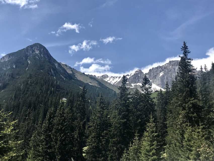 Schwer zu erkennen: Zwischen den Baumwipfeln siehst du das Dach der Hütte in der grünen Wiese