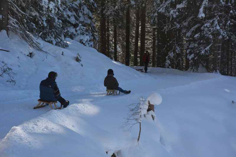 In Mittenwald rodeln - diese Rodelbahnen lohnen sich zum Schlittenfahren in Mittenwald, Krün und Wallgau